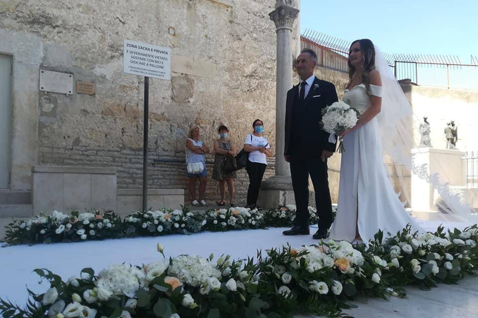 Daniela Colasanto Wedding Plan