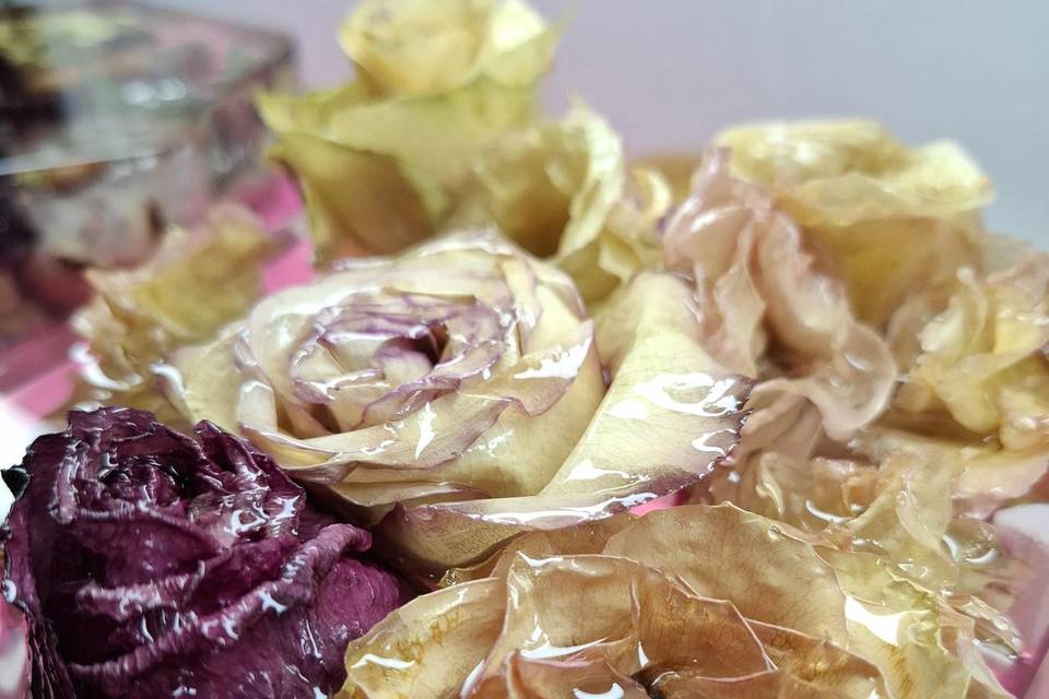 Rose-