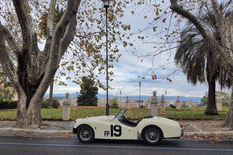 Triumph TR3A Racing Number