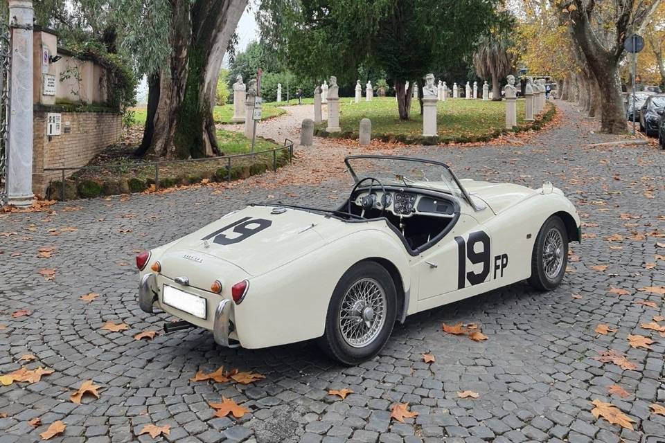 Triumph TR3A Back View