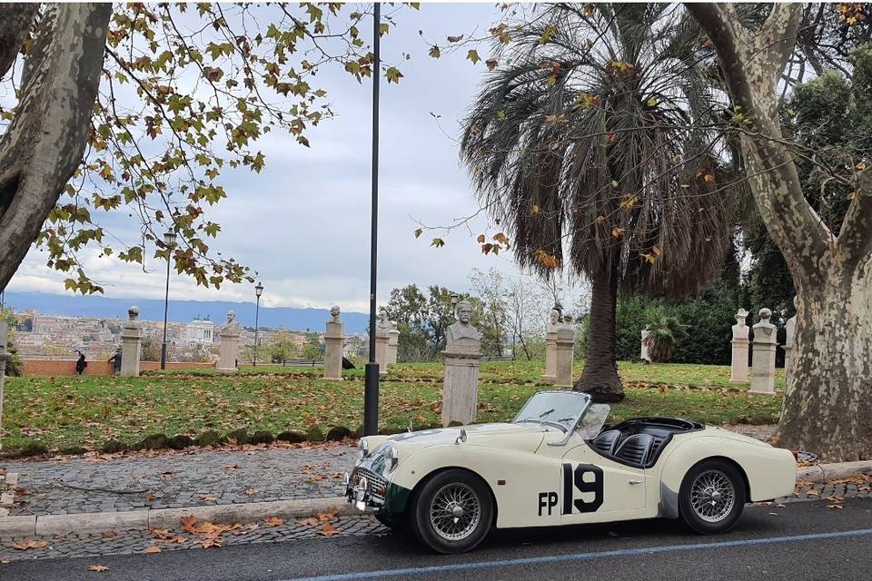 Triumph TR3A Side View