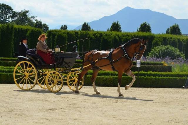 Cascina Casone di Cavaglià