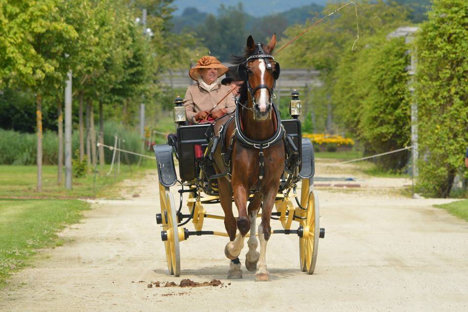 Cascina Casone di Cavaglià