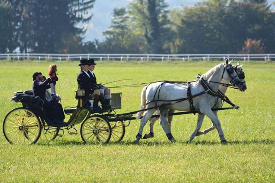 Cascina Casone di Cavaglià