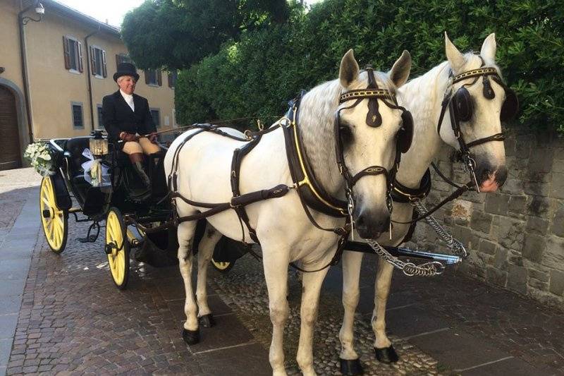 Cascina Casone di Cavaglià