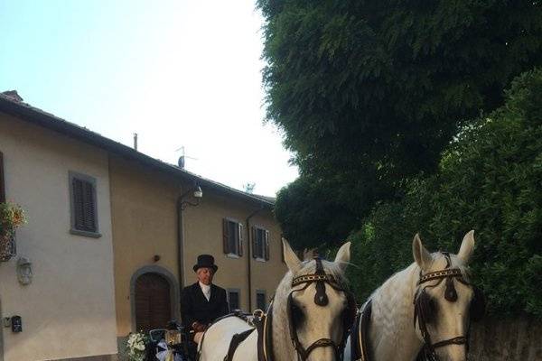 Cascina Casone di Cavaglià