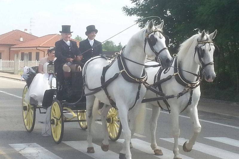 Cascina Casone di Cavaglià