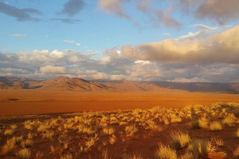 Emozioni forti safari in Namib