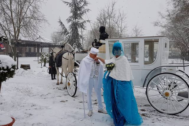 Matrimonio in carrozza