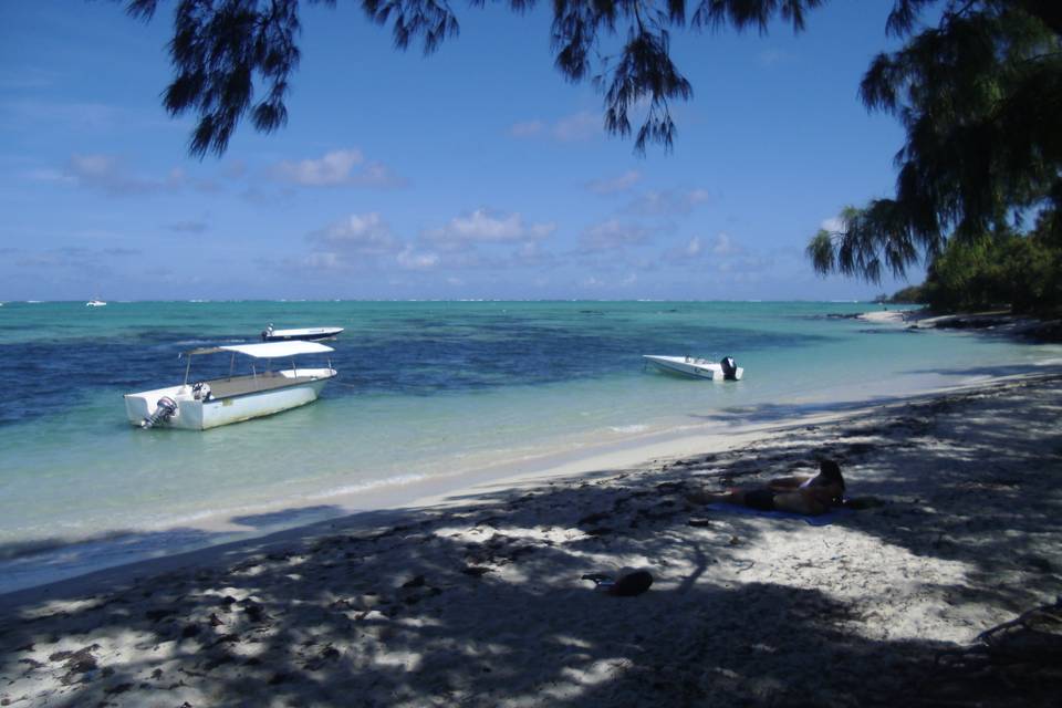 Isola dei cervi