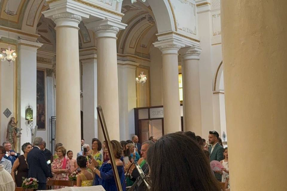 🎻