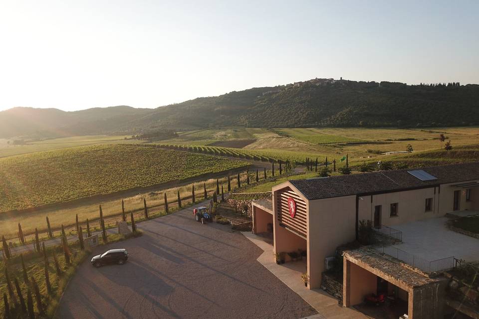Tenuta Dodici
