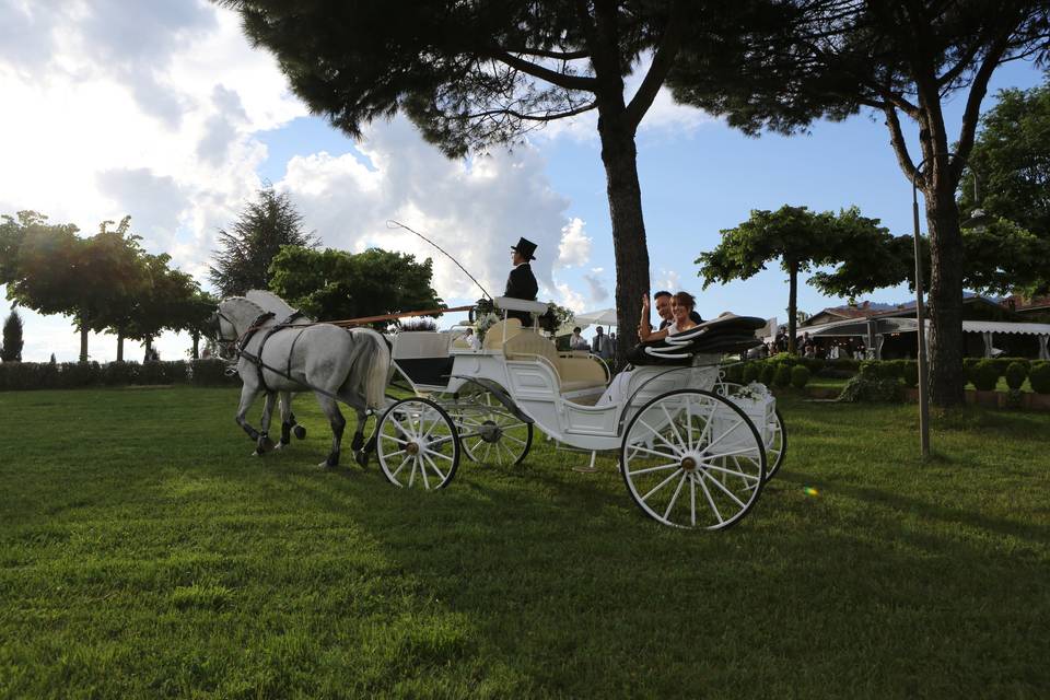 Tenuta Sant'Andrea