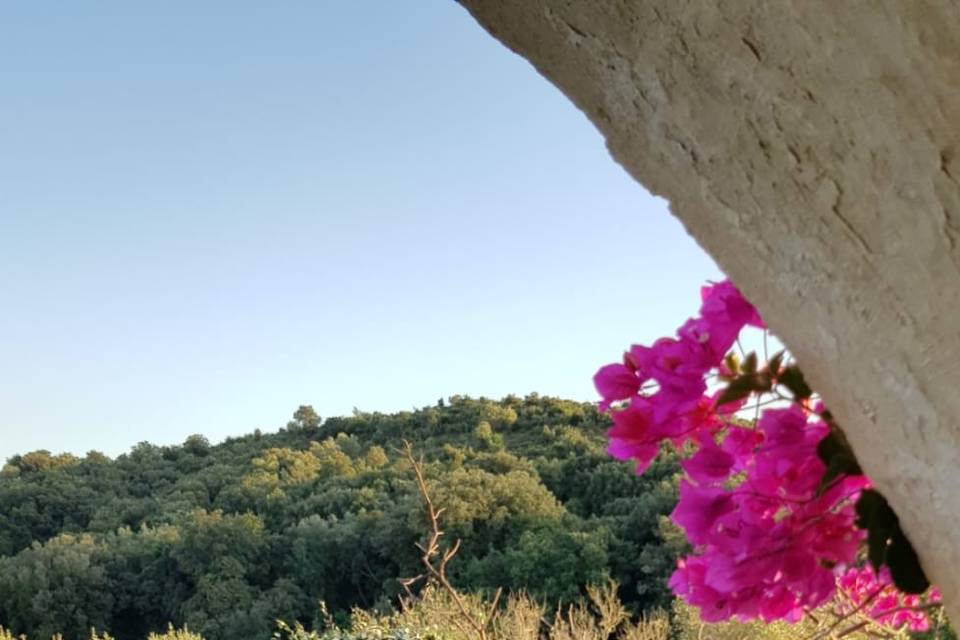 La Boutique del Fiore di Eleonora Cavallaro