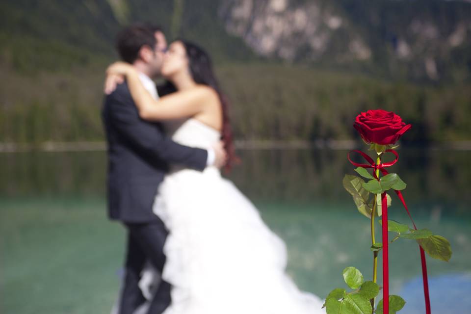Francesca Padovan Photography