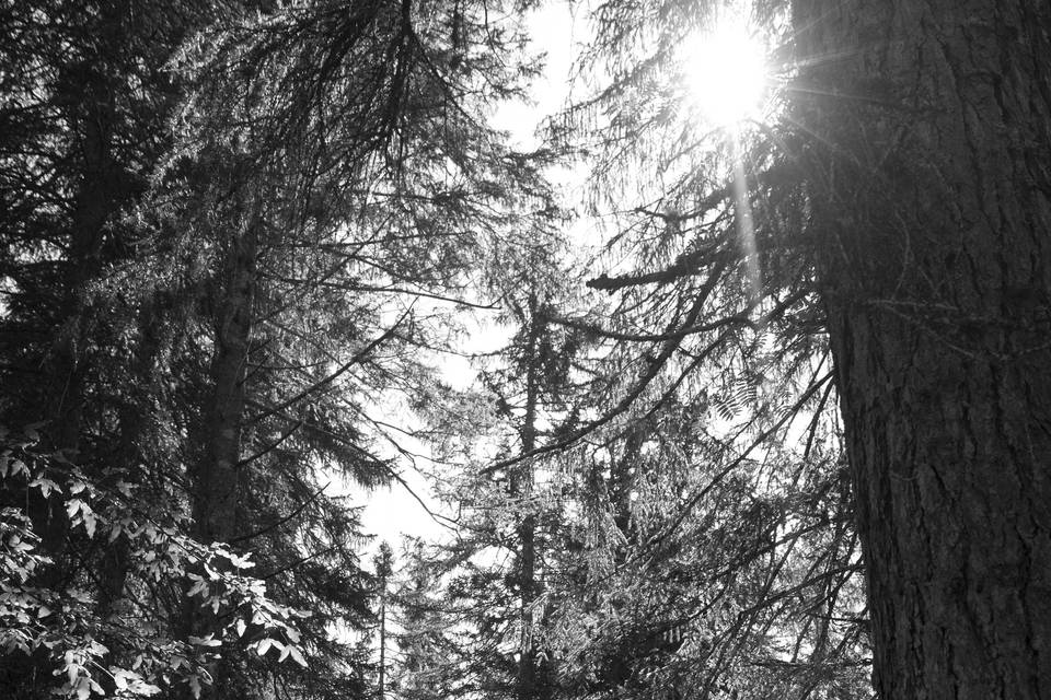 Francesca Padovan Photography