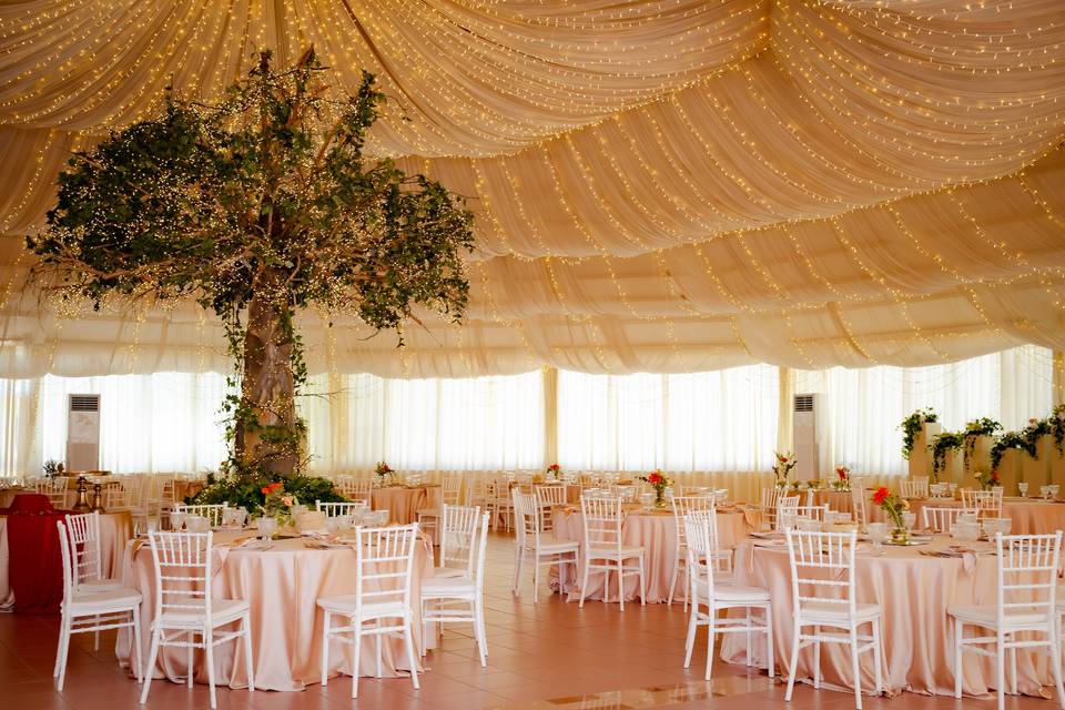 Sala albero