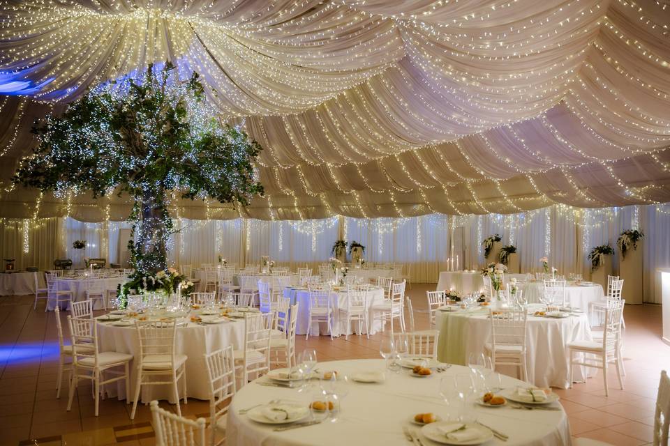 Sala Albero