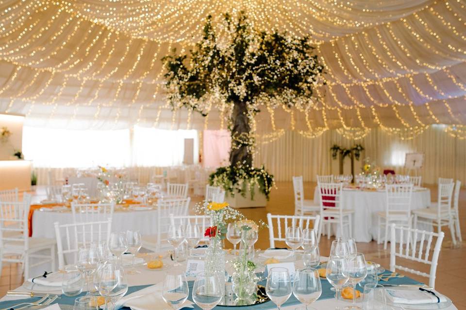 Sala albero