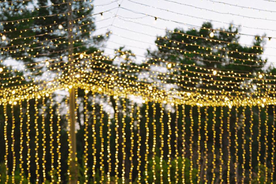 Matrimonio nell'Eden