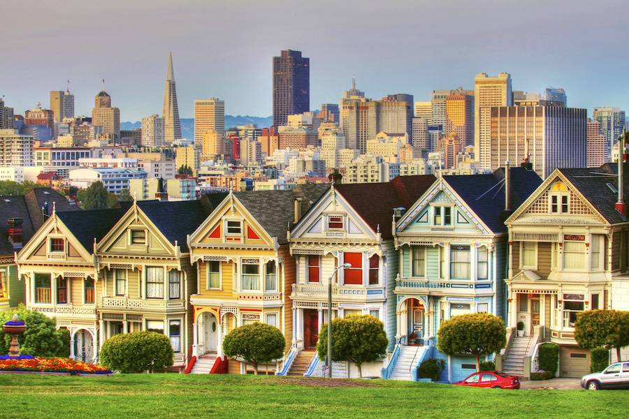 San Francisco Painted Ladies