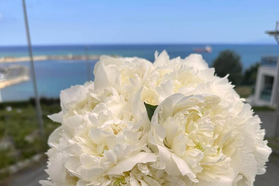 Fiori