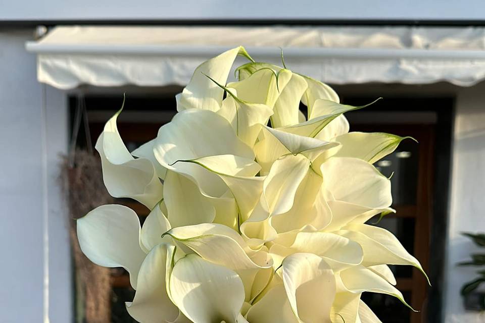 Bouquet