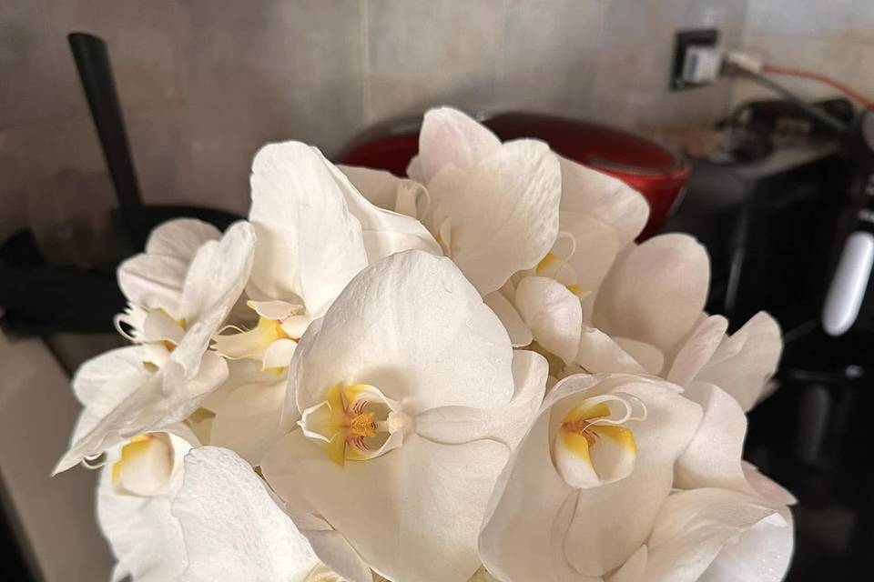 Bouquet