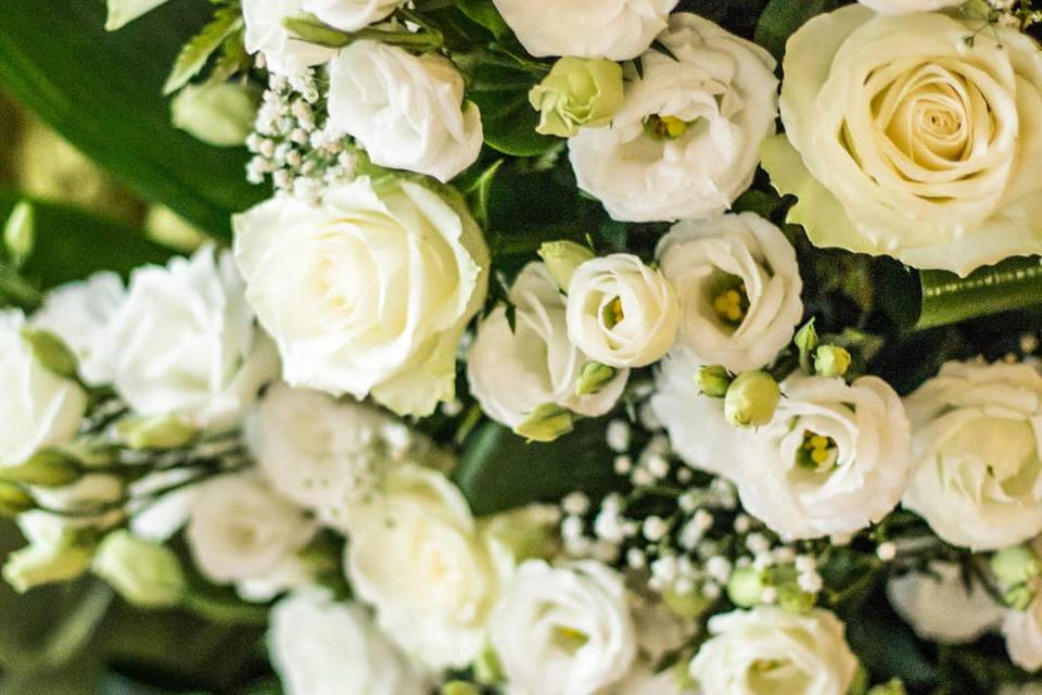 Fiori