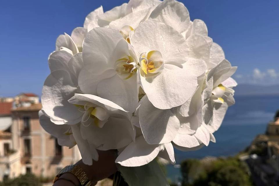 Bouquet