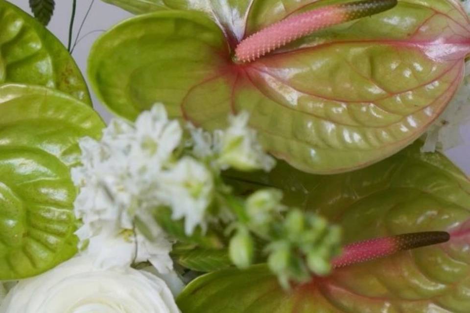 Fiori matrimonio