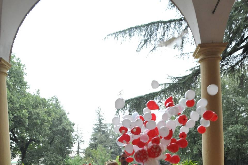 Taglio della torta