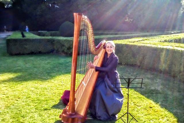 Antonella Natangelo Harp