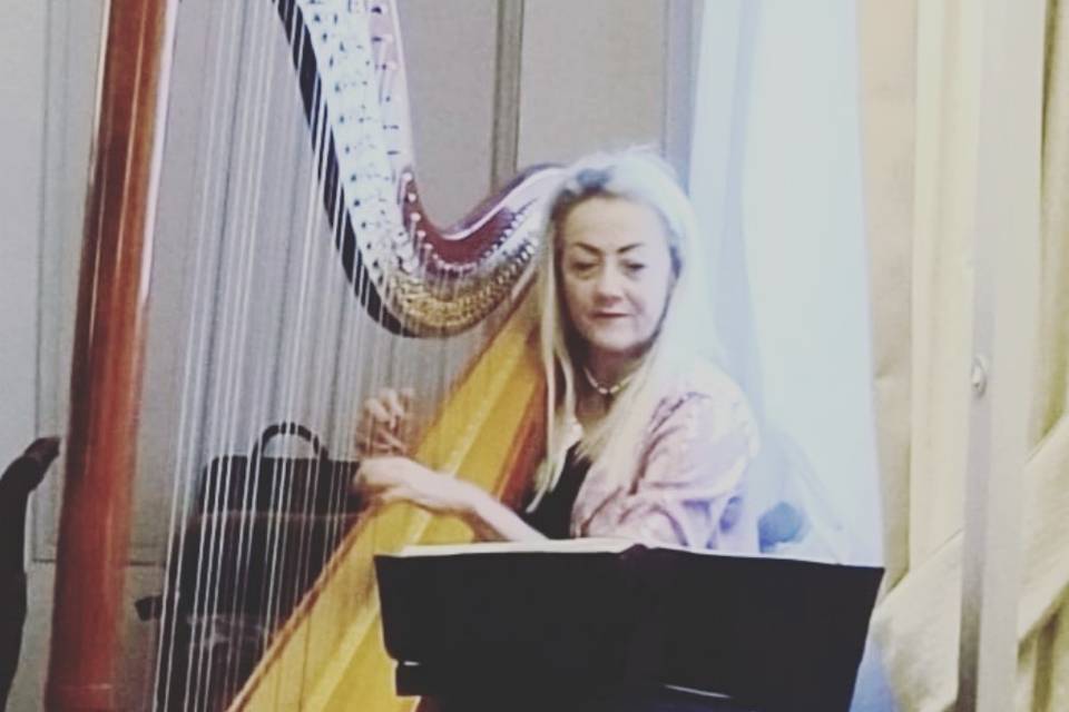 Antonella Natangelo Harp