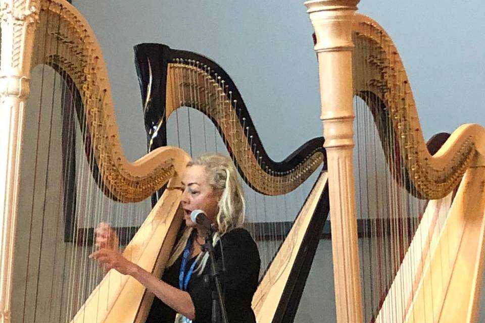 Antonella Natangelo Harp