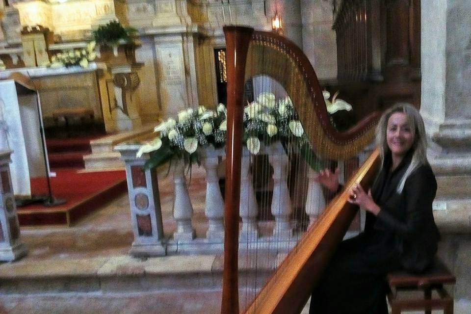 Antonella Natangelo Harp