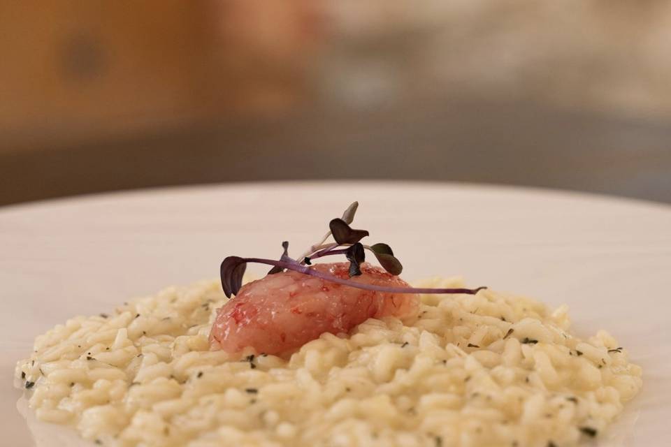 Risotto Milano Londra