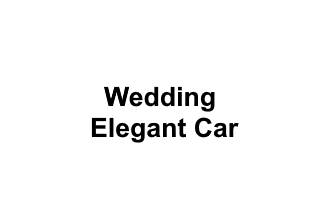 Wedding Elegant Car