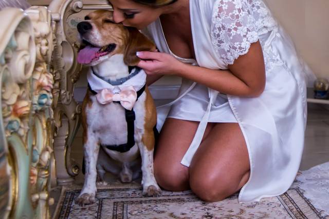 Dog's Life wedding dog sitter - Consulta la disponibilità e i prezzi