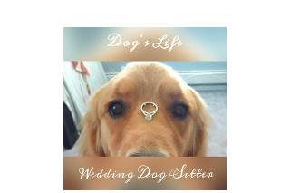 Dog's Life wedding dog sitter