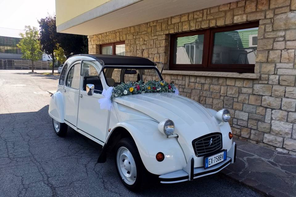 Alfredo 2 CV Vintage