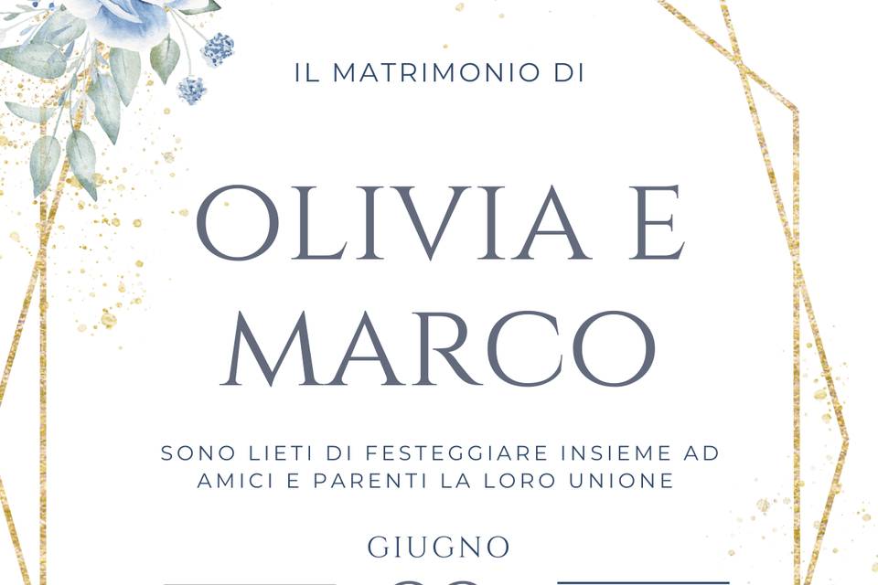 Modello 5
