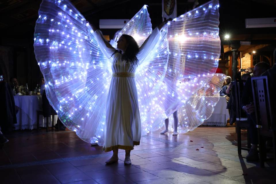 Danza delle Ali