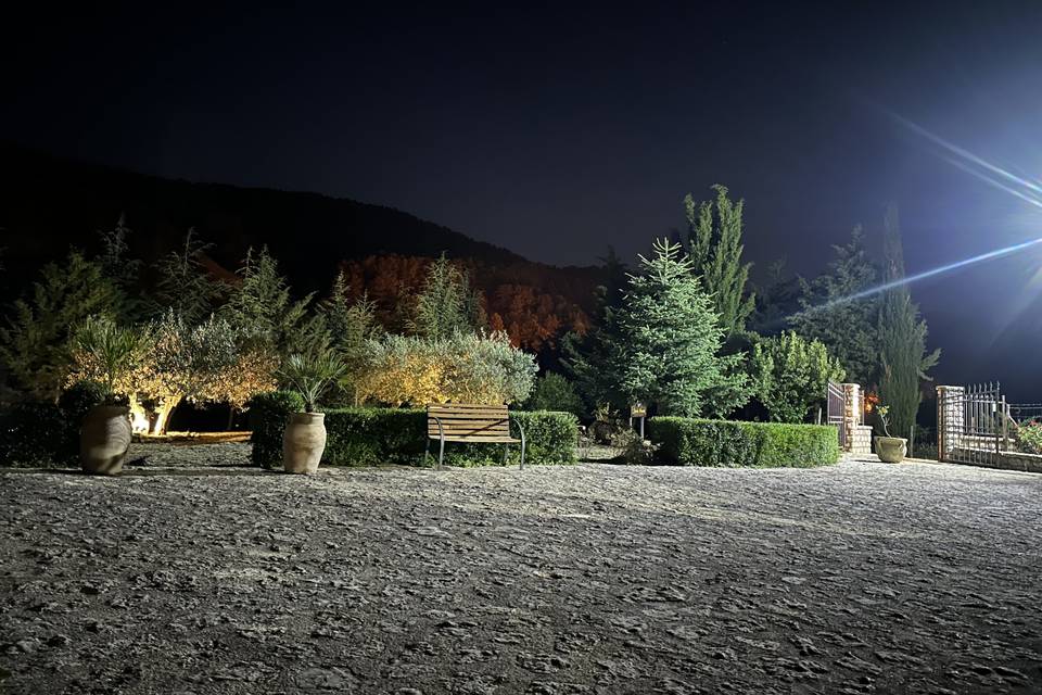 Effetto notte