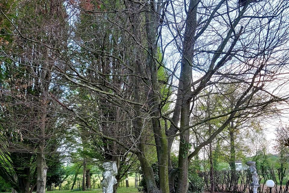 Parco