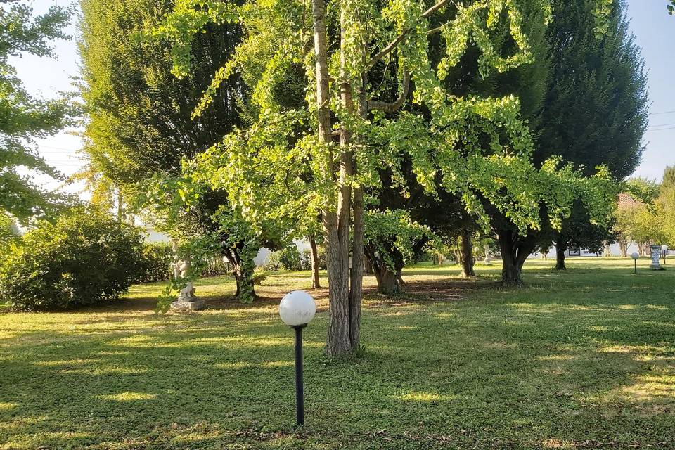 Parco