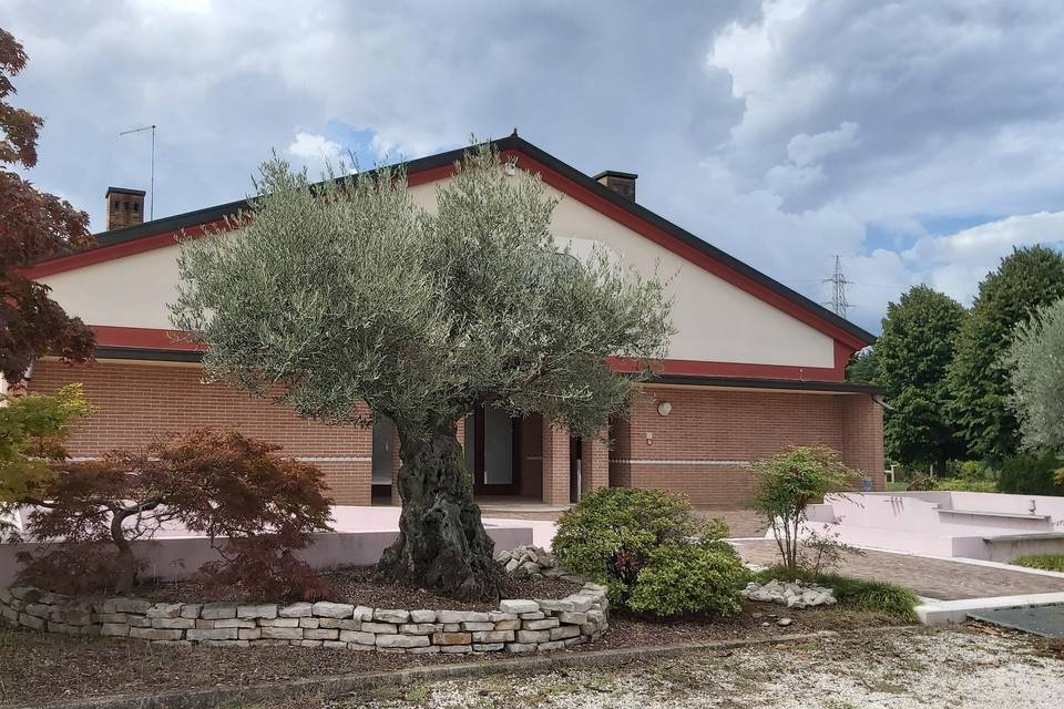 Ingresso