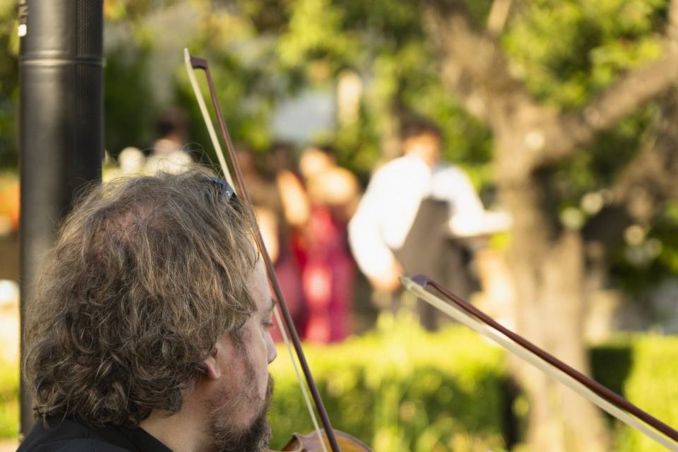 Performer violinista