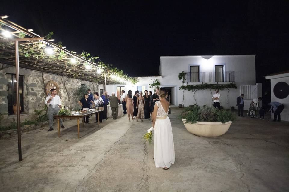Wedding