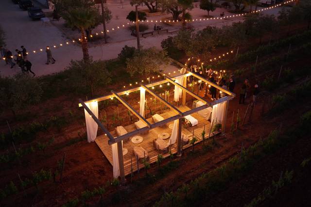Pergola tra i filari